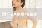 va国产,探索神秘东方的瑰宝与传奇
